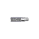 TORX TAMPER RESISTANT INSERT BIT T30H X 25MM BULK