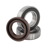 BEARING KIT & OIL RING (11/14/21 MOTOR SERVICE KIT