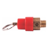 SAFETY VALVE